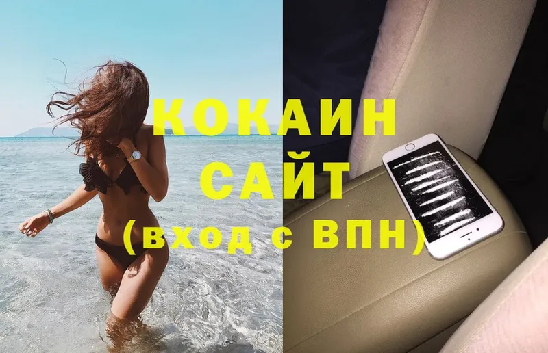 купить наркотики цена  Александров  блэк спрут ссылка  COCAIN FishScale 