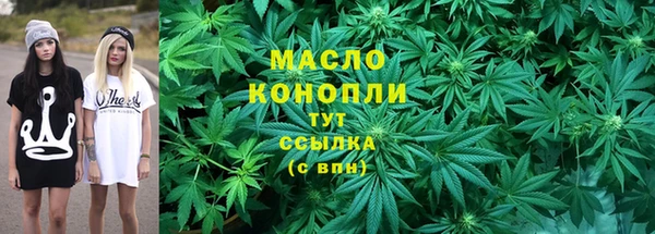 винт Михайлов