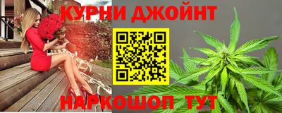 шишки Гагарин