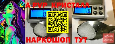 шишки Гагарин