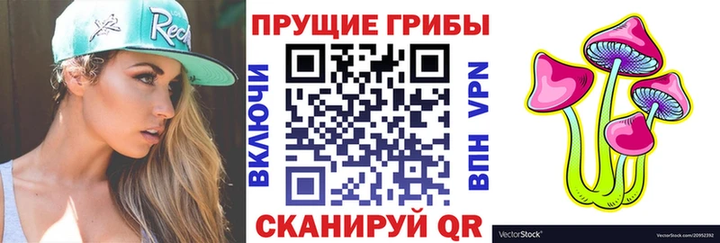 ссылка на мегу   Александров  Псилоцибиновые грибы ЛСД 