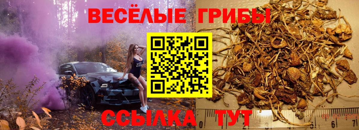 Псилоцибиновые грибы GOLDEN TEACHER Александров