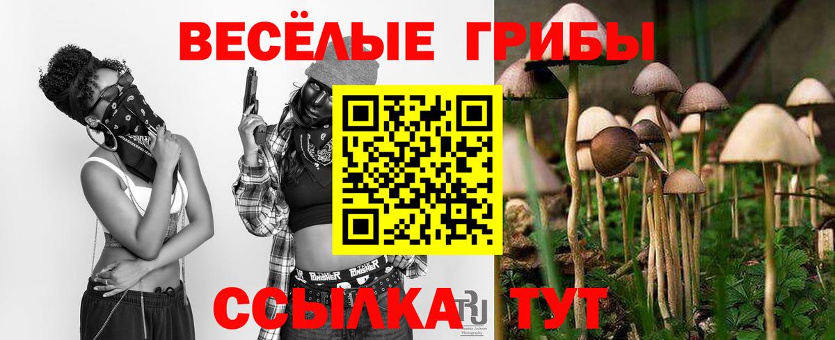 Псилоцибиновые грибы Magic Shrooms  Вход с VPN  Александров 