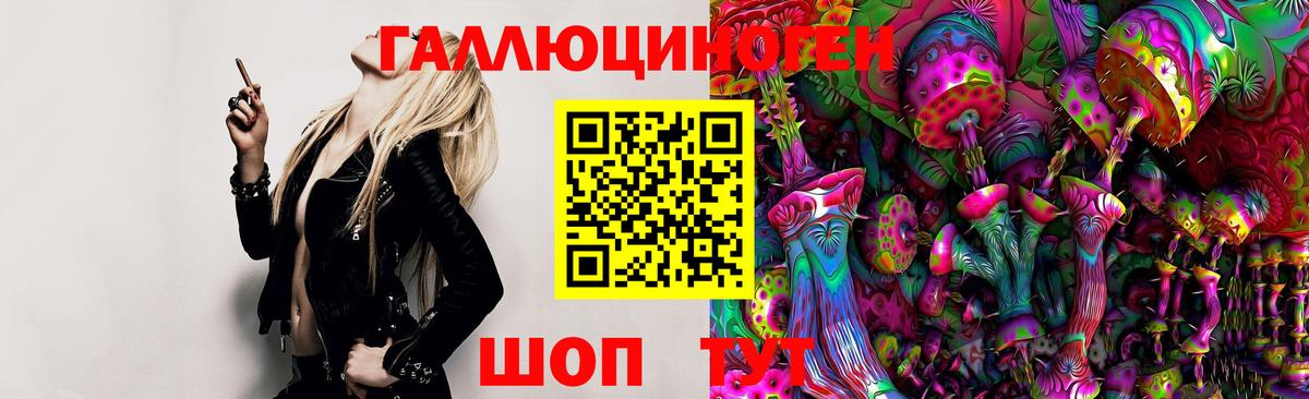 Александров  Галлюциногенные грибы Magic Shrooms  Вход с VPN 